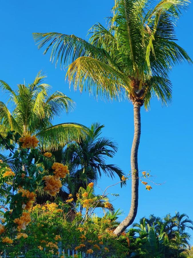 Malvilla Pereybere Beach エクステリア 写真